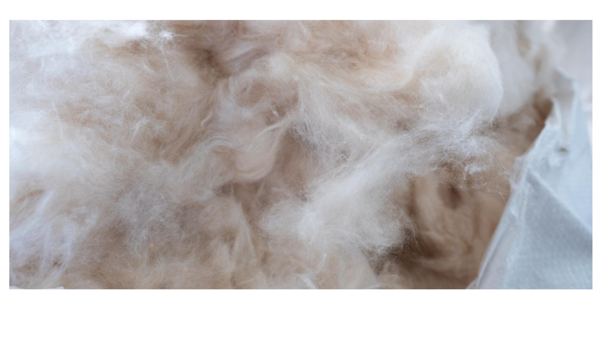 Inside Norrag - The Beauty, Symbolism & Softness Of Kapok